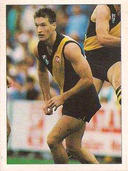 1992 Select AFL Stickers #193 Brian Leys Front